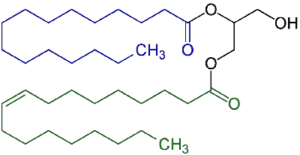 E471 Chemical Structure