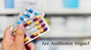 Are Antibiotics Vegan