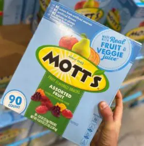 are mott’s fruit snacks vegan