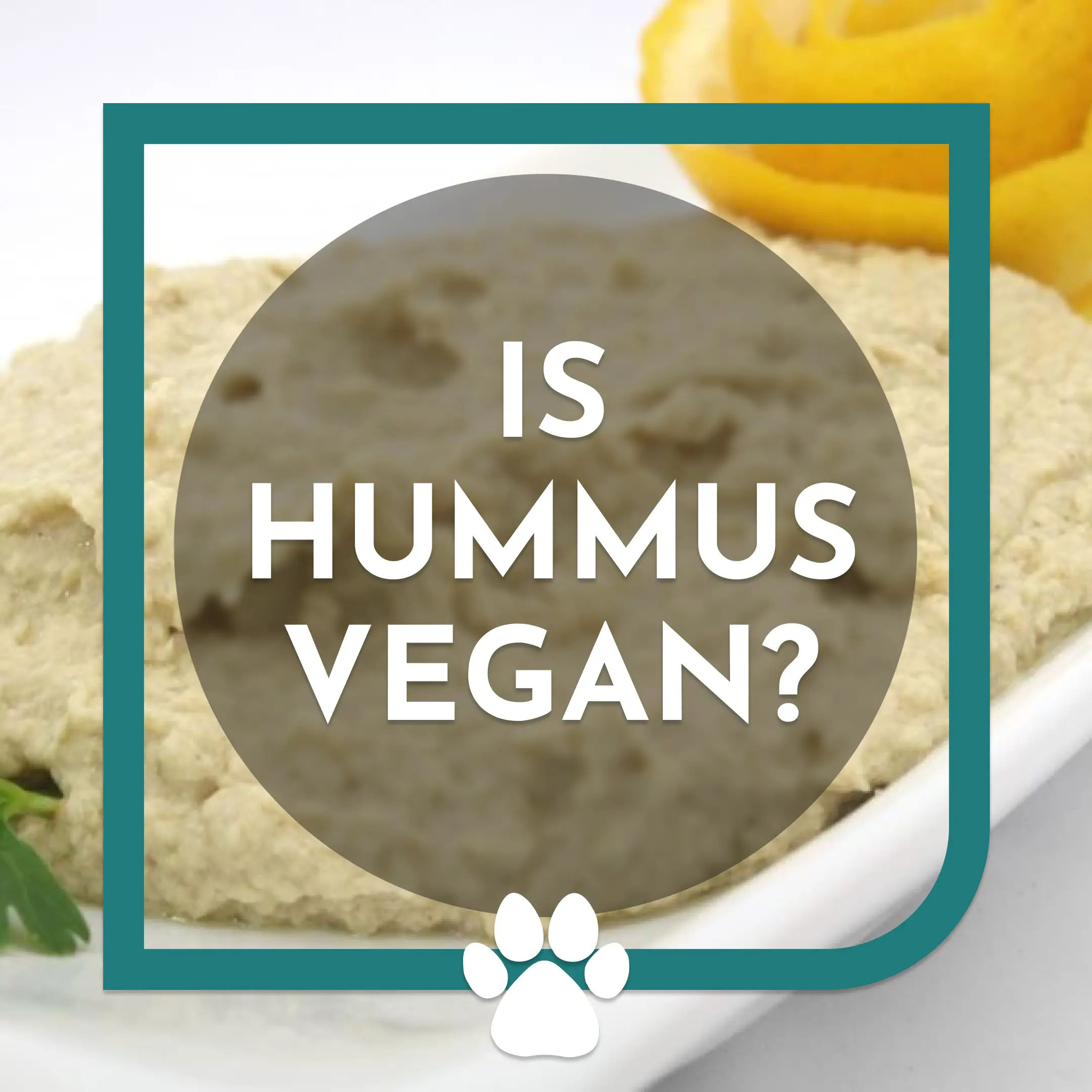 Is Hummus vegan? Let’s talk about it!