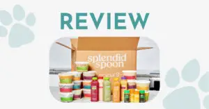 Splendid Spoon review