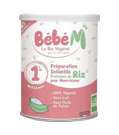 bebe vegan baby formula