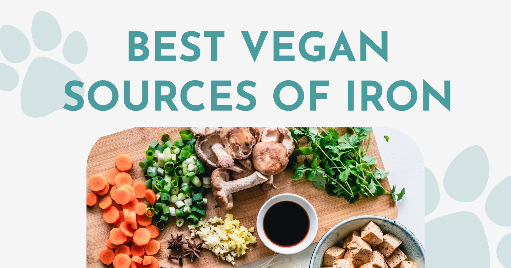 best-vegan-sources-of-iron-2023-cruelty-free-reviews