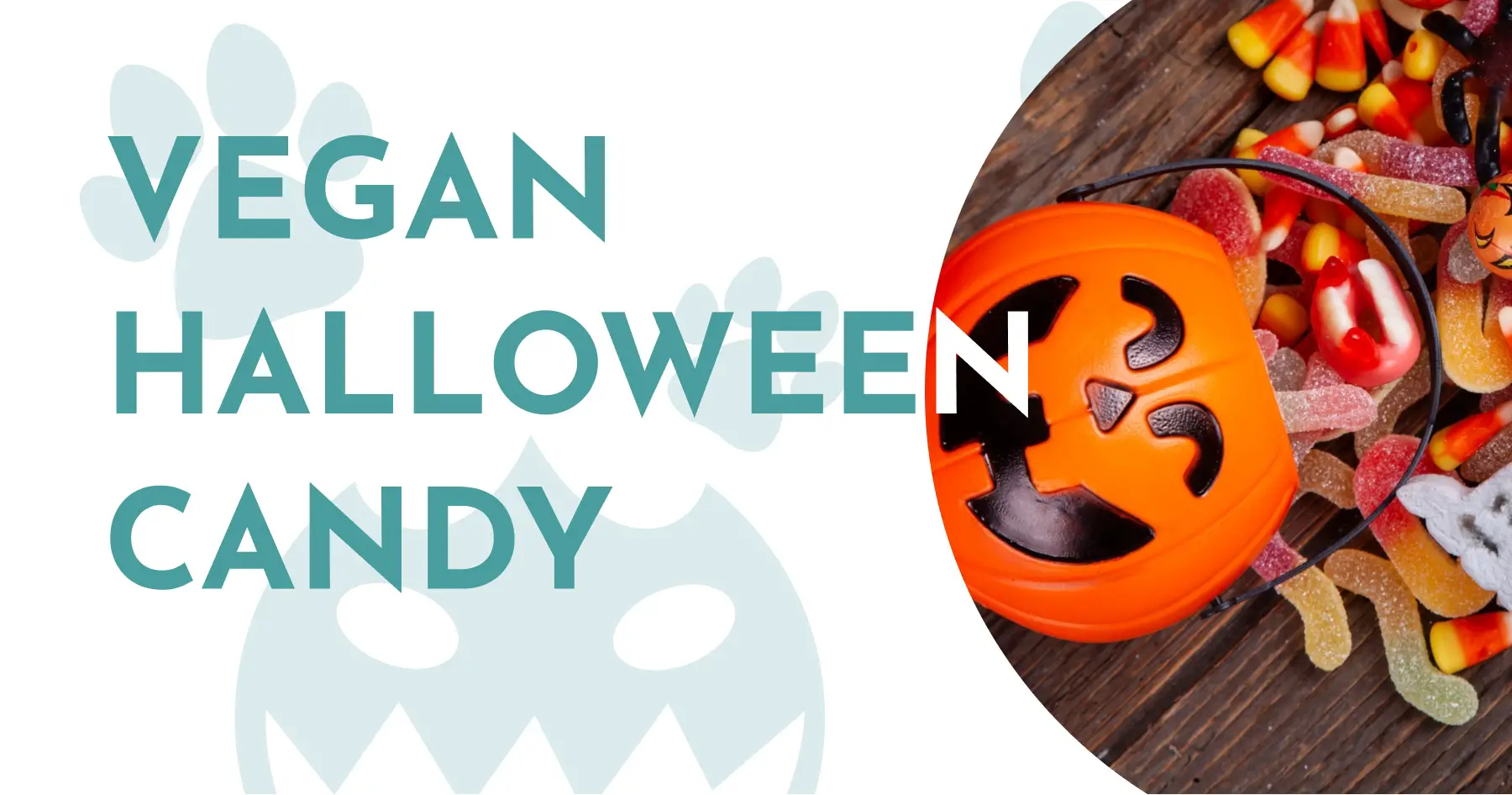 Vegan Halloween Candy: Top 11 choices for all Tastes! – 2023