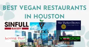 Best Vegan Restaurants in Houston