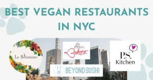 Vegan restaurants in NYC