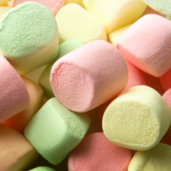 Are Marshmallows Vegan? – The Ultimate Guide